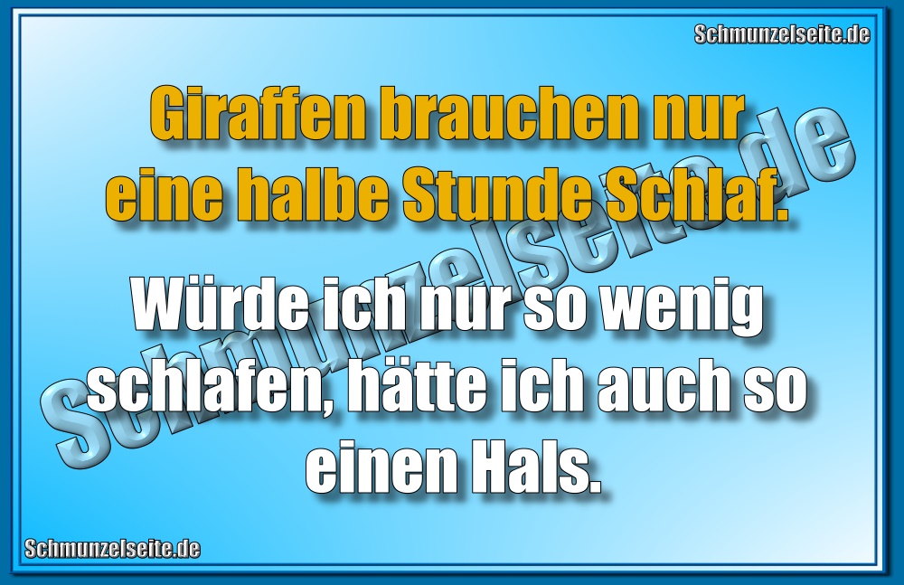 Halbe Stunde Schlaf