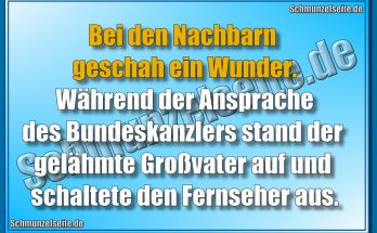 Ansprache des Bundeskanzlers