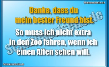 Mein bester Freund