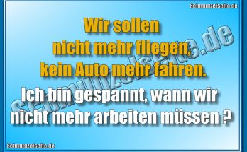 Nicht mehr fliegen