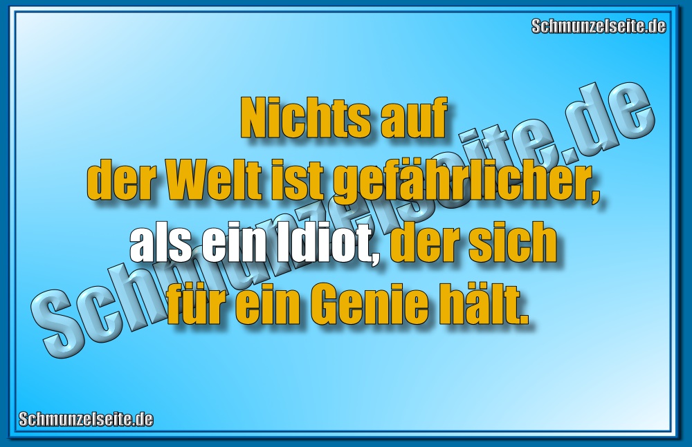 Ein Idiot