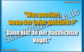 Geier