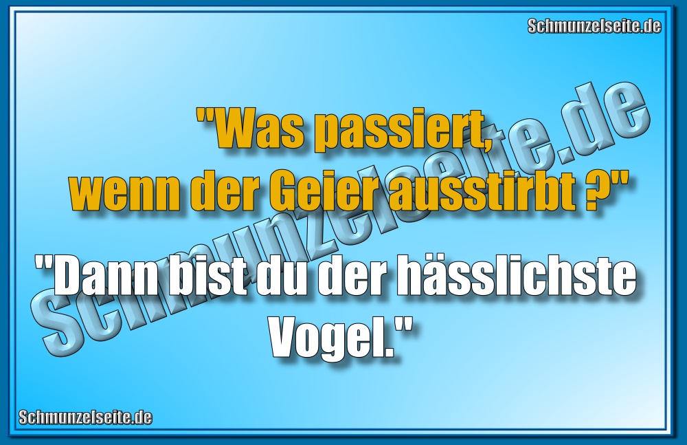 Geier