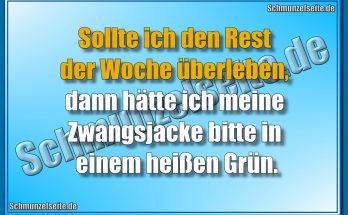 Meine Zwangsjacke