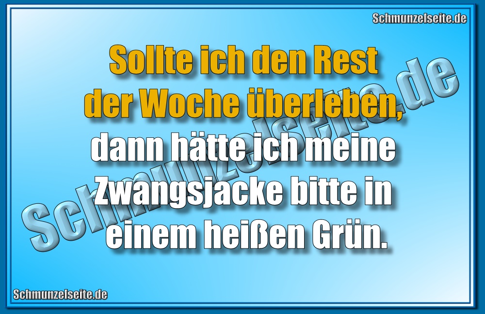 Meine Zwangsjacke