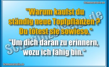 Neue Topfpflanzen