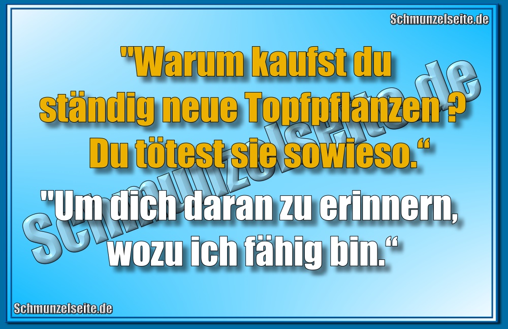 Neue Topfpflanzen