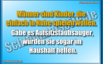 Aufsitzstaubsauger