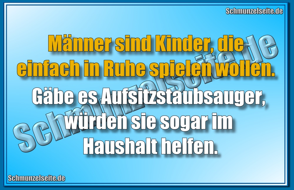 Aufsitzstaubsauger
