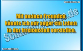 Irrenanstalt