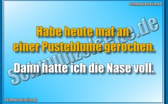 Pusteblume