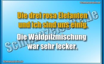 Waldpilzmischung