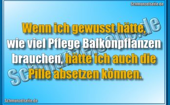 Balkonpflanzen