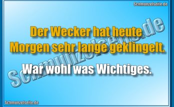 Der Wecker hat heute Morgen sehr lange geklingelt. War wohl was Wichtiges.