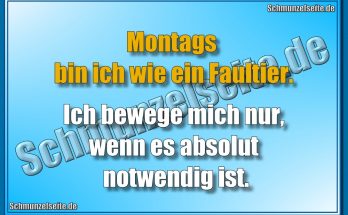 Montags bin ich wie ein Faultier. Ich bewege mich nur, wenn es absolut notwendig ist.