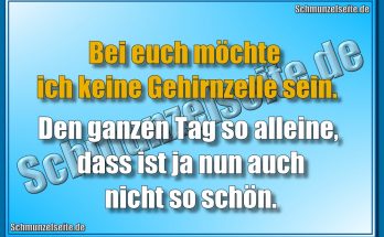 Bei euch möchte ich keine Gehirnzelle sein. Den ganzen Tag so alleine, dass ist ja nun auch nicht so schön.