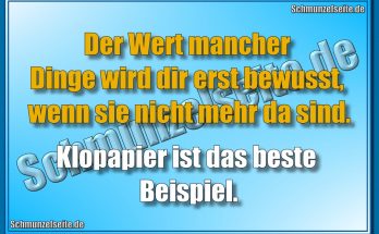 Der Wert mancher Dinge wird dir erst bewusst, wenn sie nicht mehr da sind. Klopapier ist das beste Beispiel.