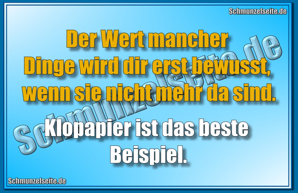 Der Wert mancher Dinge wird dir erst bewusst, wenn sie nicht mehr da sind. Klopapier ist das beste Beispiel.
