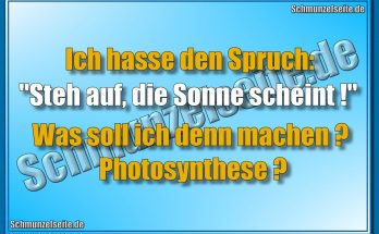 Ich hasse den Spruch: "Steh auf, die Sonne scheint!" Was soll ich denn machen? Photosynthese?