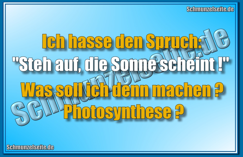 Ich hasse den Spruch: "Steh auf, die Sonne scheint!" Was soll ich denn machen? Photosynthese?