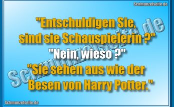 "Entschuldigen Sie, sind sie Schauspielerin?" "Nein, wieso?" "Sie sehen aus wie der Besen von Harry Potter."