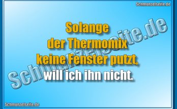Solange der Thermomix keine Fenster putzt, will ich ihn nicht.