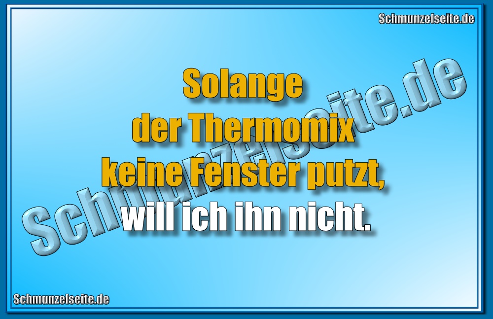 Solange der Thermomix keine Fenster putzt, will ich ihn nicht.