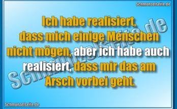 Ich habe realisiert, dass mich einige Menschen nicht mögen, aber ich habe auch realisiert, dass mir das am Arsch vorbei geht.