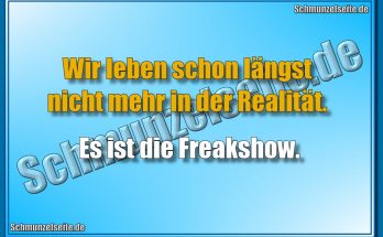 Wir leben schon längst nicht mehr in der Realität. Es ist die Freakshow.