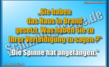 „Sie haben das Haus in Brand gesetzt. Was haben Sie zu Ihrer Verteidigung zu sagen?“ „Die Spinne hat angefangen.“