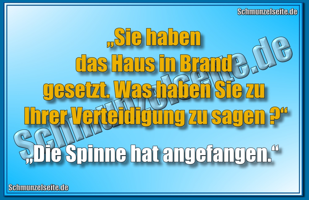 „Sie haben das Haus in Brand gesetzt. Was haben Sie zu Ihrer Verteidigung zu sagen?“ „Die Spinne hat angefangen.“