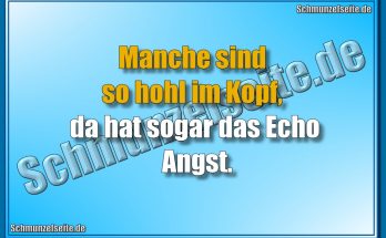 Manche sind so hohl im Kopf, da hat sogar das Echo Angst.