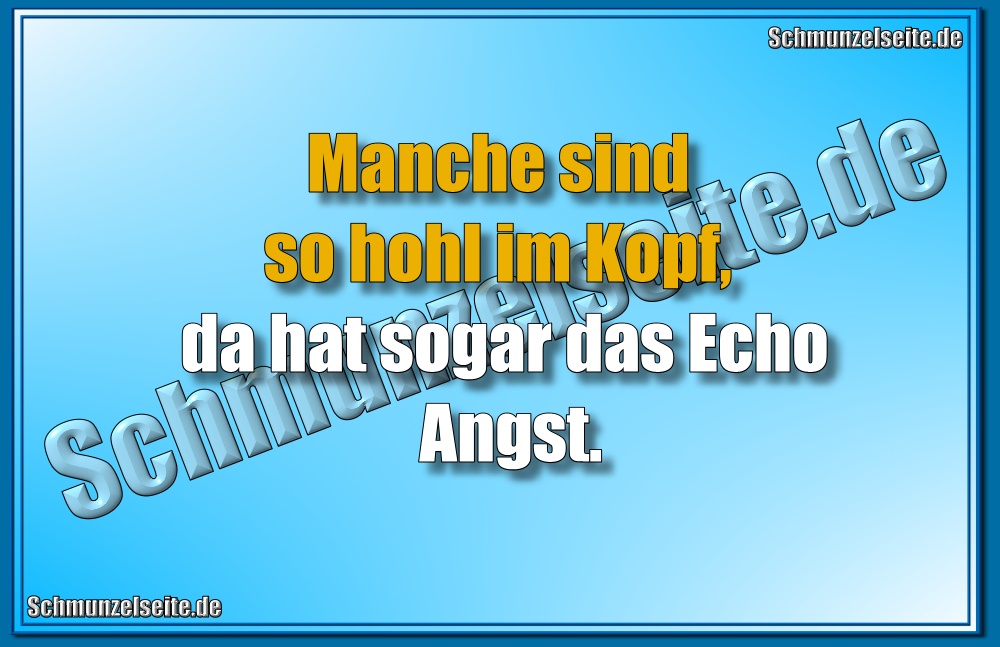 Manche sind so hohl im Kopf, da hat sogar das Echo Angst.