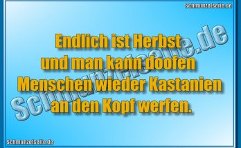 Endlich ist Herbst und man kann doofen Menschen wieder Kastanien an den Kopf werfen.