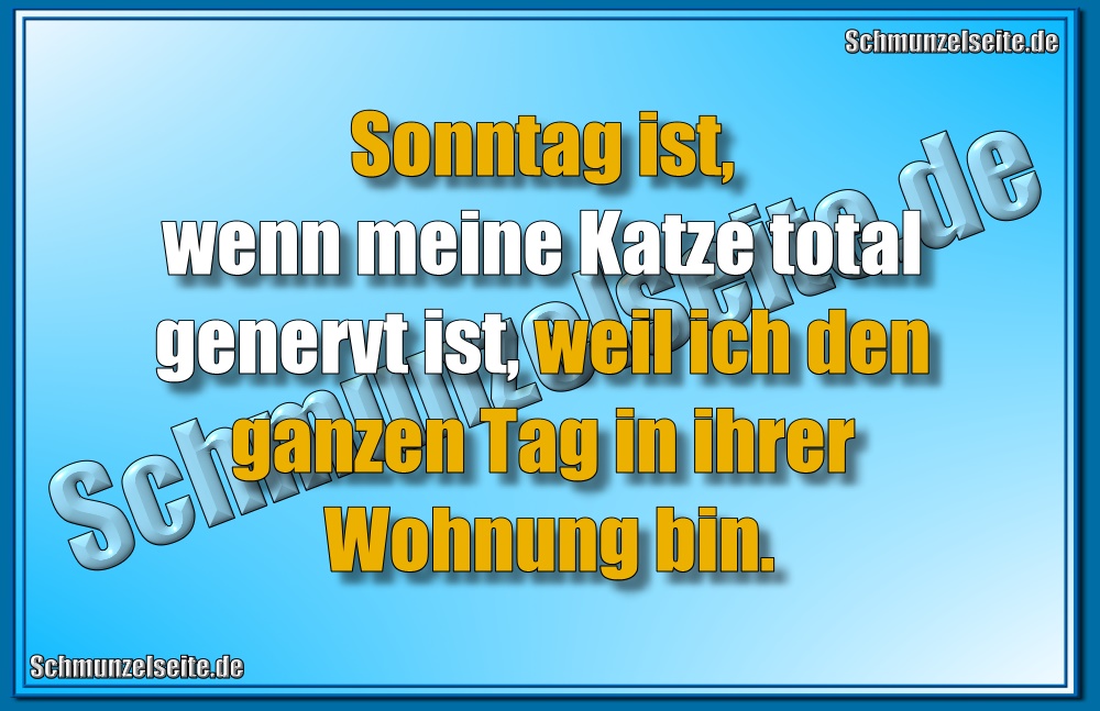 Sonntag ist, wenn meine Katze total genervt ist, weil ich den ganzen Tag in ihrer Wohnung bin.