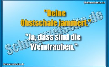 "Deine Obstschale jammert." "Ja, dass sind die Weintrauben."