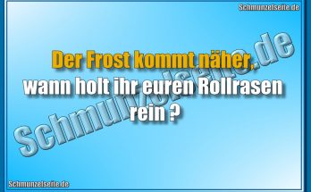 Der Frost kommt näher, wann holt ihr euren Rollrasen rein?