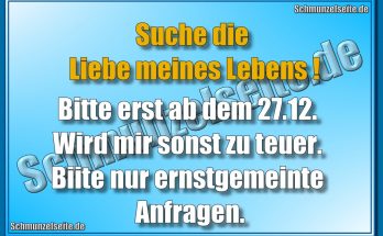 Suche die Liebe meines Lebens! Bitte erst ab dem 27.12. Wird mir sonst zu teuer. Bitte nur ernstgemeinte Anfragen.