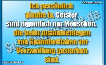 Ich persönlich glaube ja, Geister sind eigentlich nur Menschen, die beim zusammenlegen von Spannbettlaken vor Verzweiflung gestorben sind.