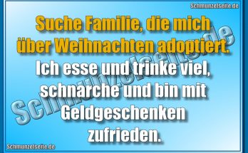 Suche Familie, die mich über Weihnachten adoptiert. Ich esse und trinke viel, schnarche und bin mit Geldgeschenken zufrieden.