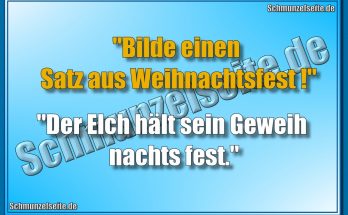"Bilde einen Satz aus Weihnachtsfest!" "Der Elch hält sein Geweih nachts fest."