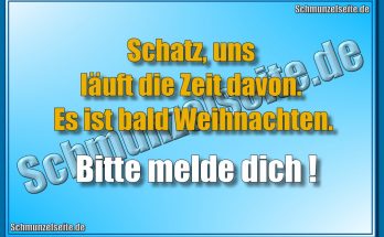 Schatz, uns läuft die Zeit davon. Es ist bald Weihnachten. Bitte melde dich!
