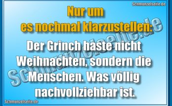 Nur um es nochmal klarzustellen: Der Grinch haste nicht Weihnachten, sondern die Menschen. Was völlig nachvollziehbar ist.