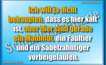 Ich will ja nicht behaupten, dass es hier kalt ist, aber hier sind gerade ein Mammut, ein Faultier und ein Säbelzahntiger vorbeigelaufen.