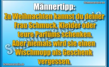 Männertipp: Zu Weihnachten kannst du deiner Frau Schmuck, Kleider oder teure Parfüms schenken. Aber niemals wird sie einen Wischmopp als Geschenk vergessen.