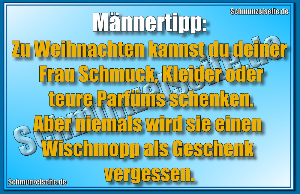 Männertipp: Zu Weihnachten kannst du deiner Frau Schmuck, Kleider oder teure Parfüms schenken. Aber niemals wird sie einen Wischmopp als Geschenk vergessen.