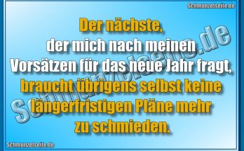 Der nächste, der mich nach meinen Vorsätzen für das neue Jahr fragt, braucht übrigens selbst keine längerfristigen Pläne mehr zu schmieden.