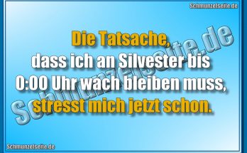 Die Tatsache, dass ich an Silvester bis 0:00 Uhr wach bleiben muss, stresst mich jetzt schon.