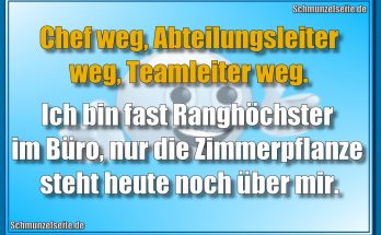Chef weg, Abteilungsleiter weg, Teamleiter weg. Ich bin fast Ranghöchster im Büro, nur die Zimmerpflanze steht heute noch über mir.