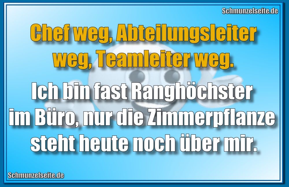 Chef weg, Abteilungsleiter weg, Teamleiter weg. Ich bin fast Ranghöchster im Büro, nur die Zimmerpflanze steht heute noch über mir.